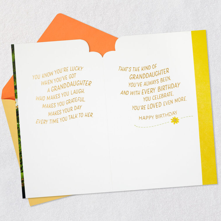 Hallmark Lucky To Love You Birthday Card For Granddaughter