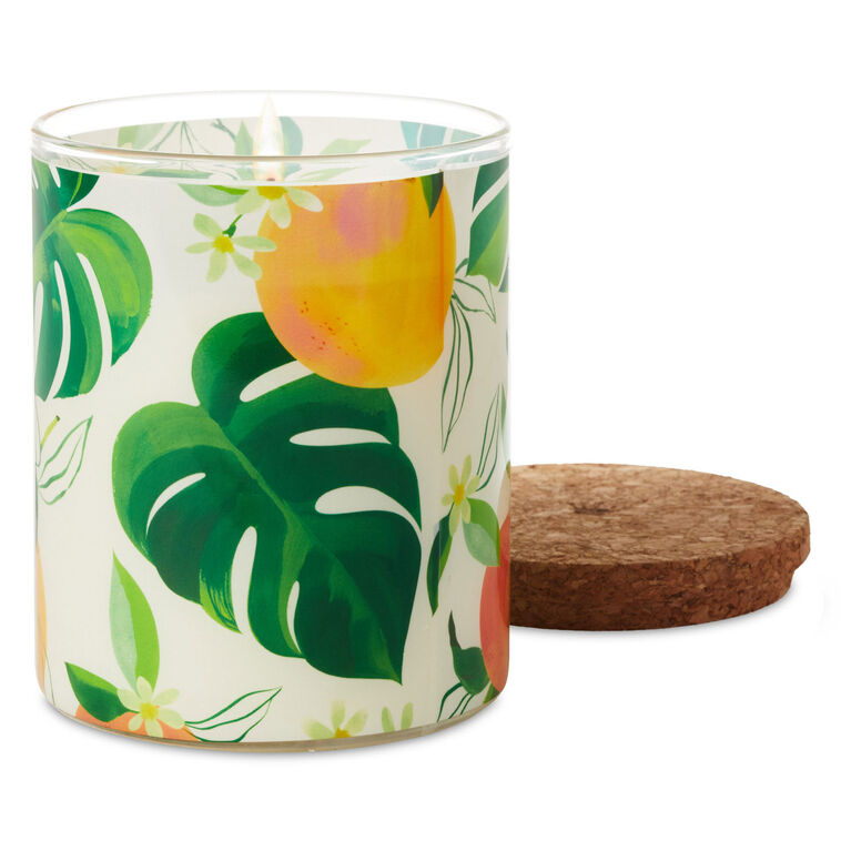 Hallmark Mandarin Orange And Grapefruit Scented 2-Wick Jar Candle 14.5 Oz