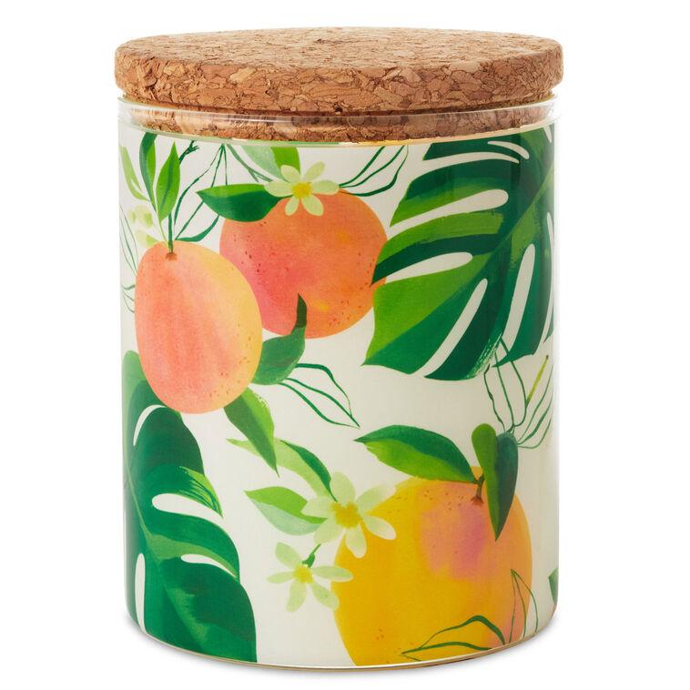 hallmark Mandarin Orange and Grapefruit Scented 2-Wick Jar Candle 14.5 oz