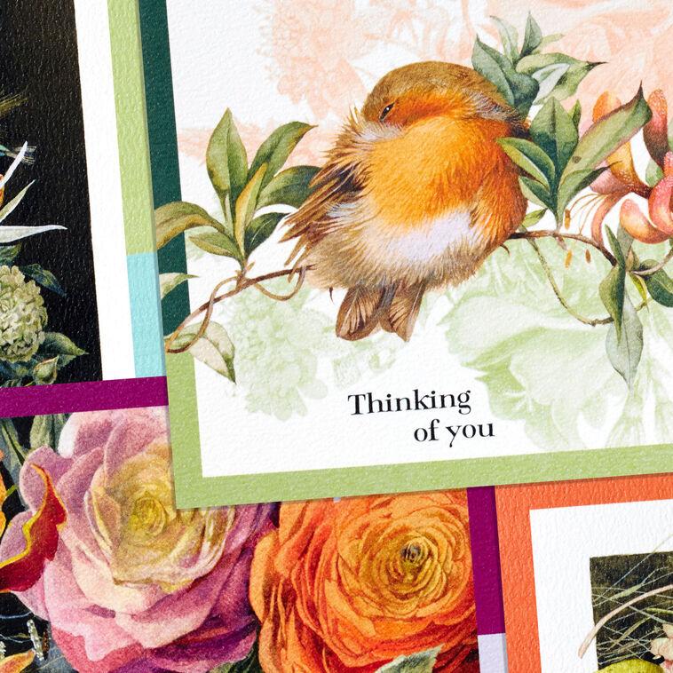 Hallmark Marjolein Bastin Botanical Watercolors Assorted Blank Multi-Occasion Note Cards In Caddy Pack Of 24