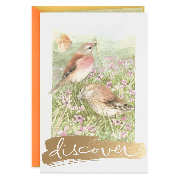 hallmark Marjolein Bastin Discover Good Things Birthday Card