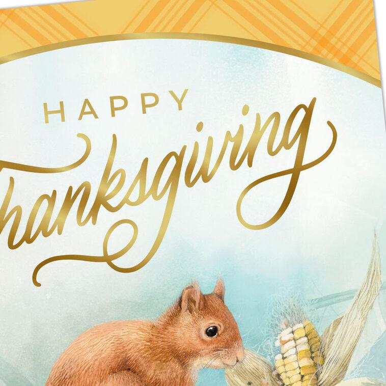 Hallmark Marjolein Bastin Feelings Of Gratefulness Thanksgiving Card