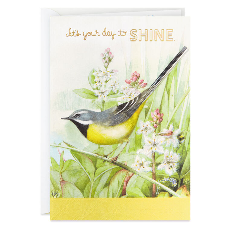 hallmark Marjolein Bastin It's Your Day to Shine Birthday Card