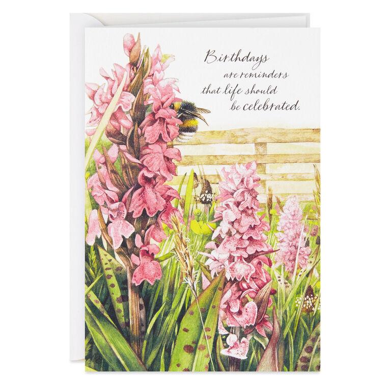 hallmark Marjolein Bastin Snapdragon Flowers Birthday Card for Her