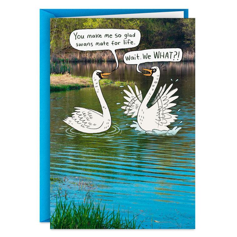 hallmark Mate for Life Swans Funny Anniversary Card for Spouse