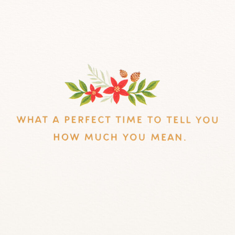 Hallmark Merry Christmas Poinsettias And Holly Christmas Card