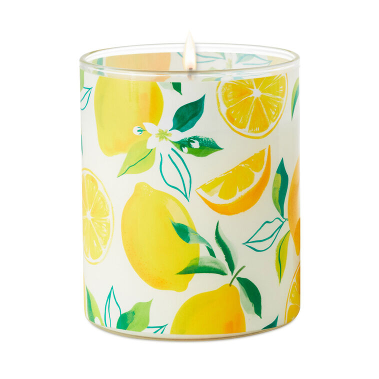 Hallmark Meyer Lemon And Lemon Zest Scented 2-Wick Jar Candle 14.5 Oz