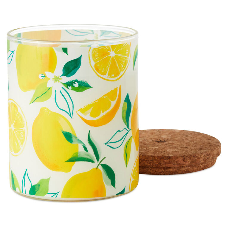 Hallmark Meyer Lemon And Lemon Zest Scented 2-Wick Jar Candle 14.5 Oz