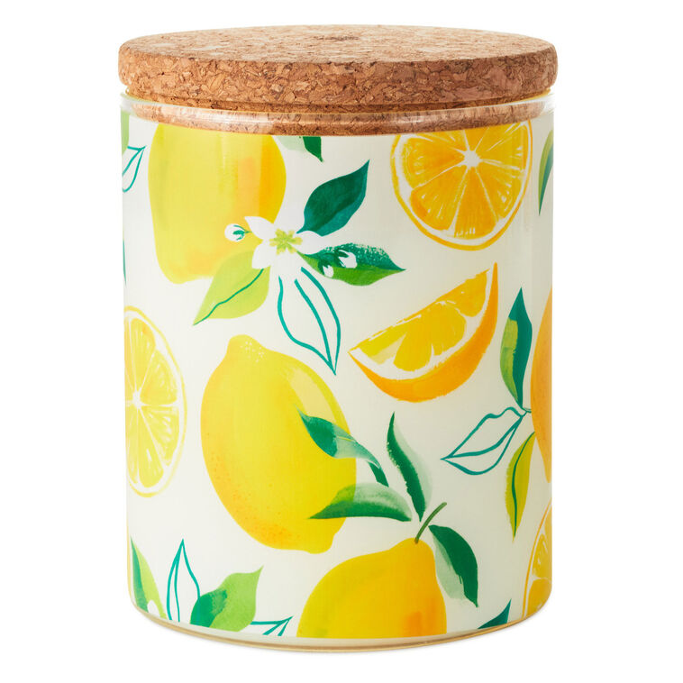 hallmark Meyer Lemon and Lemon Zest Scented 2-Wick Jar Candle 14.5 oz