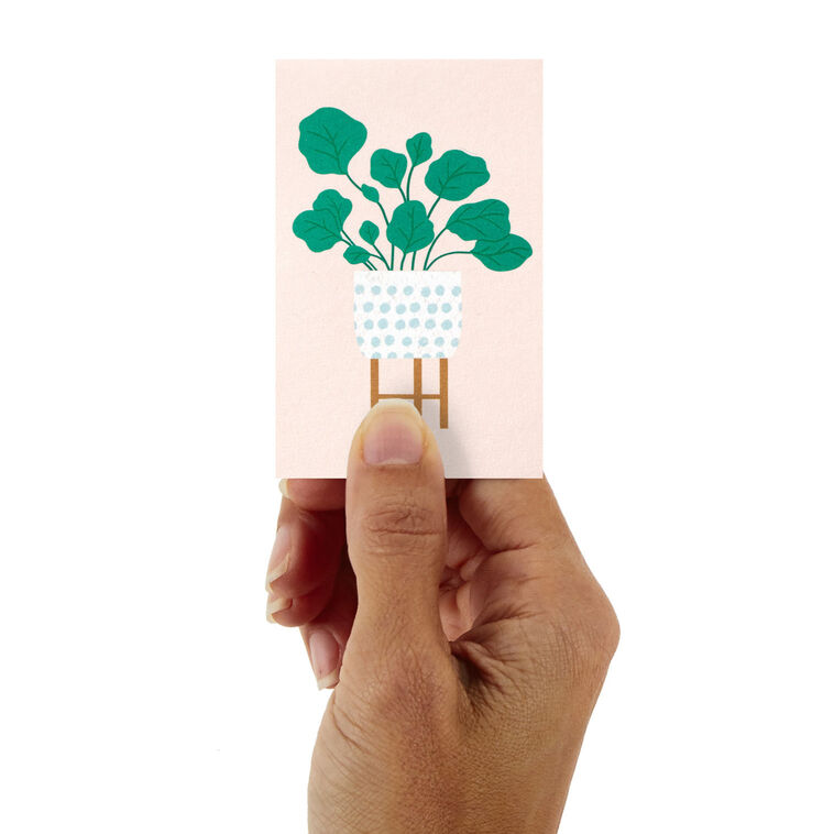 Hallmark Mini Potted Plants Assorted Blank Notes Pack Of 12