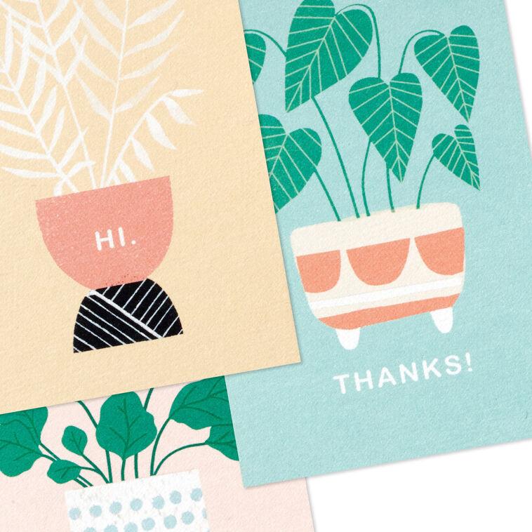 Hallmark Mini Potted Plants Assorted Blank Notes Pack Of 12