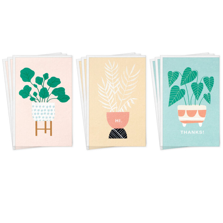 hallmark Mini Potted Plants Assorted Blank Notes Pack of 12