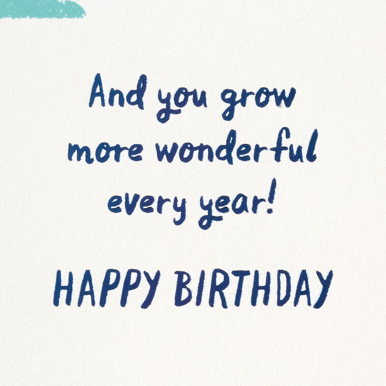 Hallmark More Wonderful Every Year Birthday Card For Godson