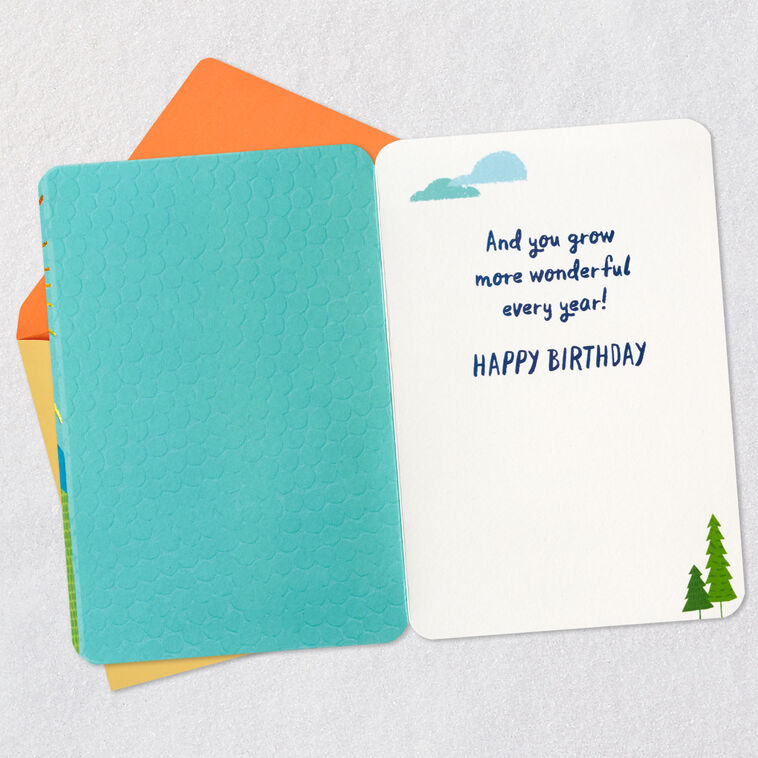 Hallmark More Wonderful Every Year Birthday Card For Godson