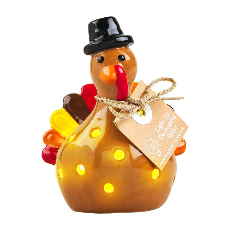 hallmark Mud Pie Light-Up Turkey Tabletop Decoration