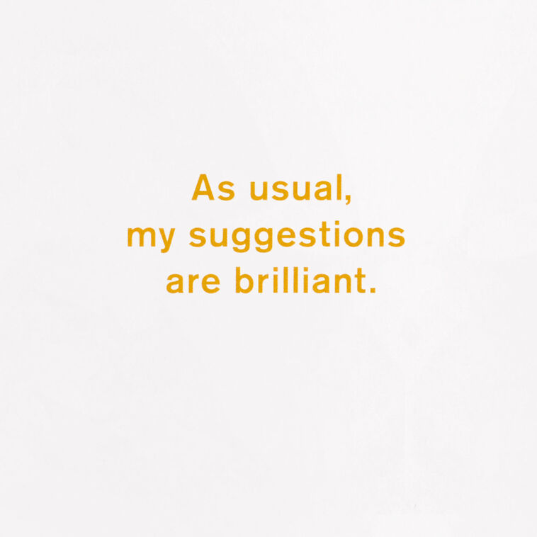 Hallmark My Brilliant Suggestions Funny Birthday Card