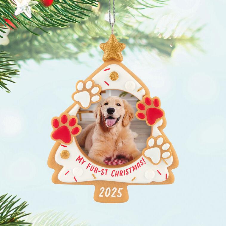 Hallmark My Fur-st Christmas 2025 Photo Frame Ornament