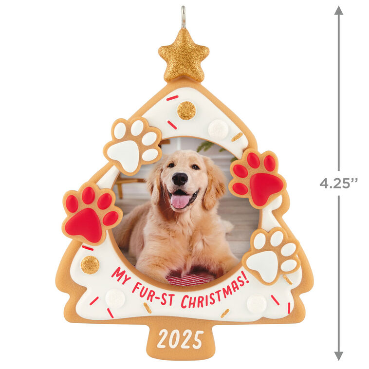Hallmark My Fur-st Christmas 2025 Photo Frame Ornament