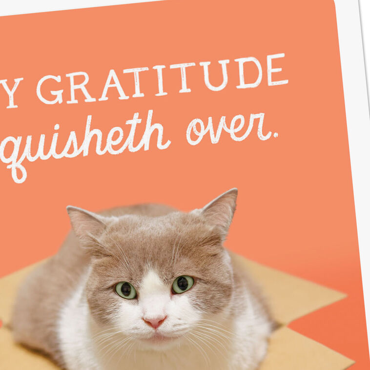 Hallmark My Gratitude Squisheth Over Thank You Card