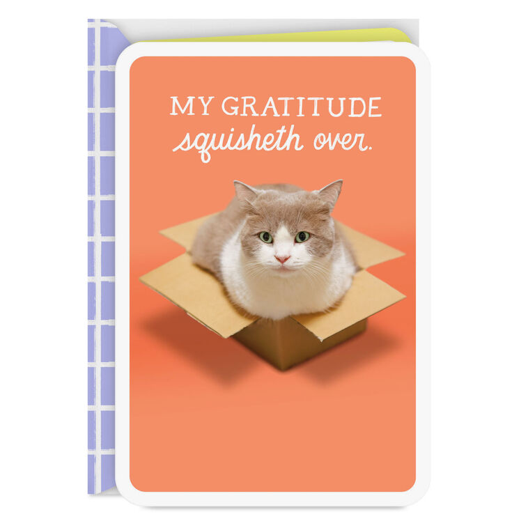 hallmark My Gratitude Squisheth Over Thank You Card