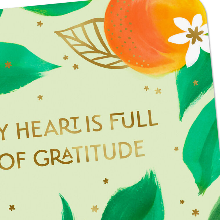 Hallmark My Heart Is Full Of Gratitude Thank You Card