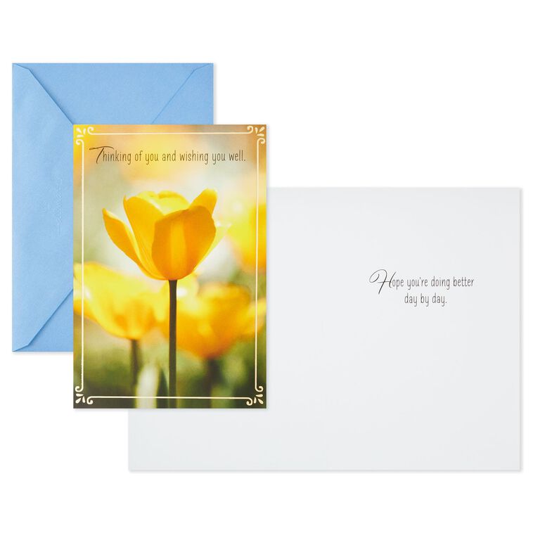Hallmark Nature Scenes Assorted Support And Sympathy Cards Pack Of 8