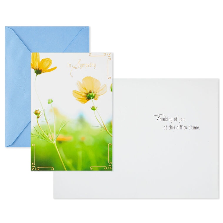 Hallmark Nature Scenes Assorted Support And Sympathy Cards Pack Of 8