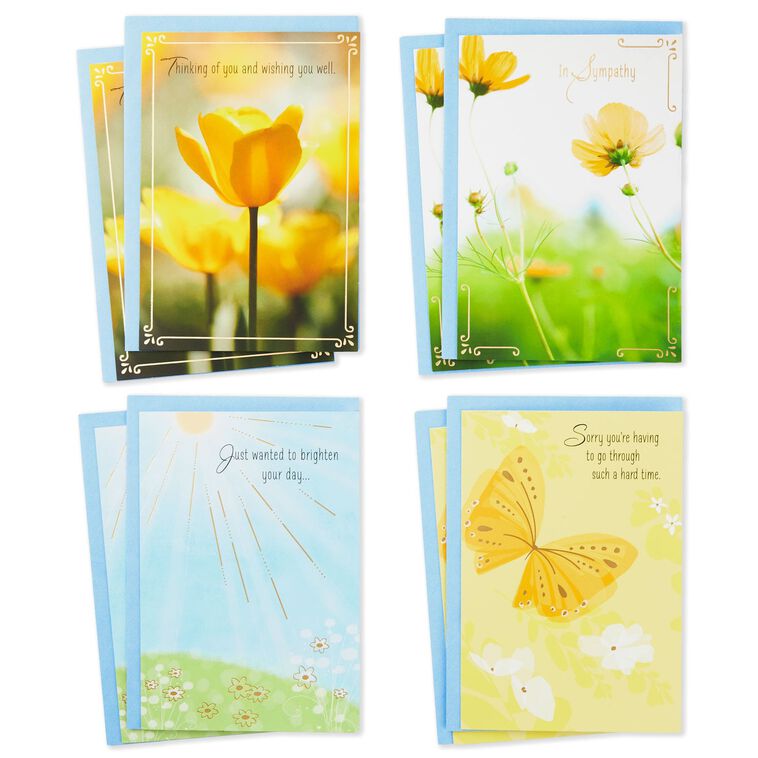 hallmark Nature Scenes Assorted Support and Sympathy Cards Pack of 8