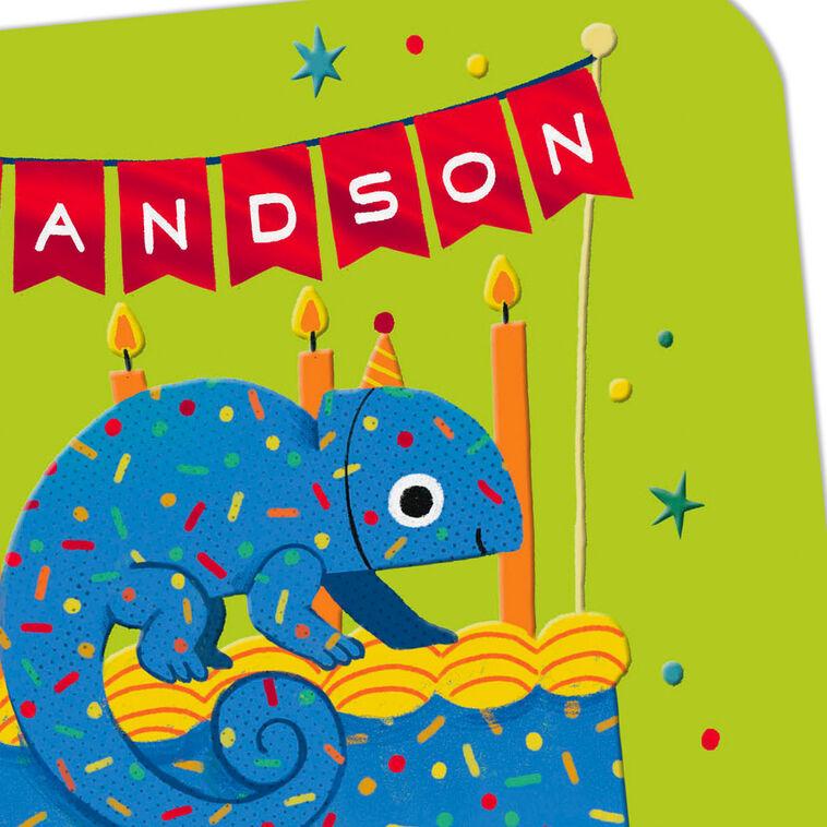 Hallmark No Hiding Your Awesomeness Chameleon Birthday Card For Grandson