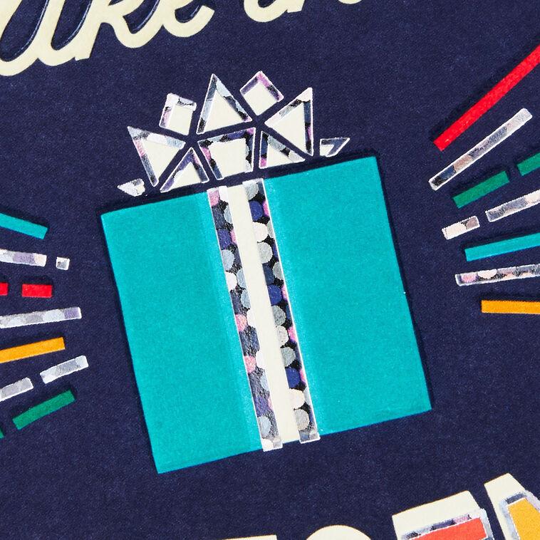 Hallmark No Time Like The Present Birthday Card For Nephew