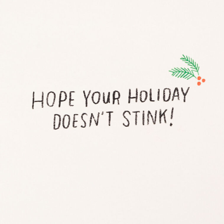 Hallmark North Pole Farts Funny Christmas Card With Sound