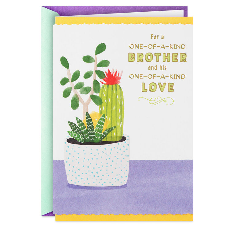hallmark One-of-a-Kind Anniversary Card for Brother and Spouse