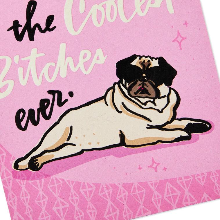 Hallmark One Of The Coolest Bitches Ever Funny Birthday Card