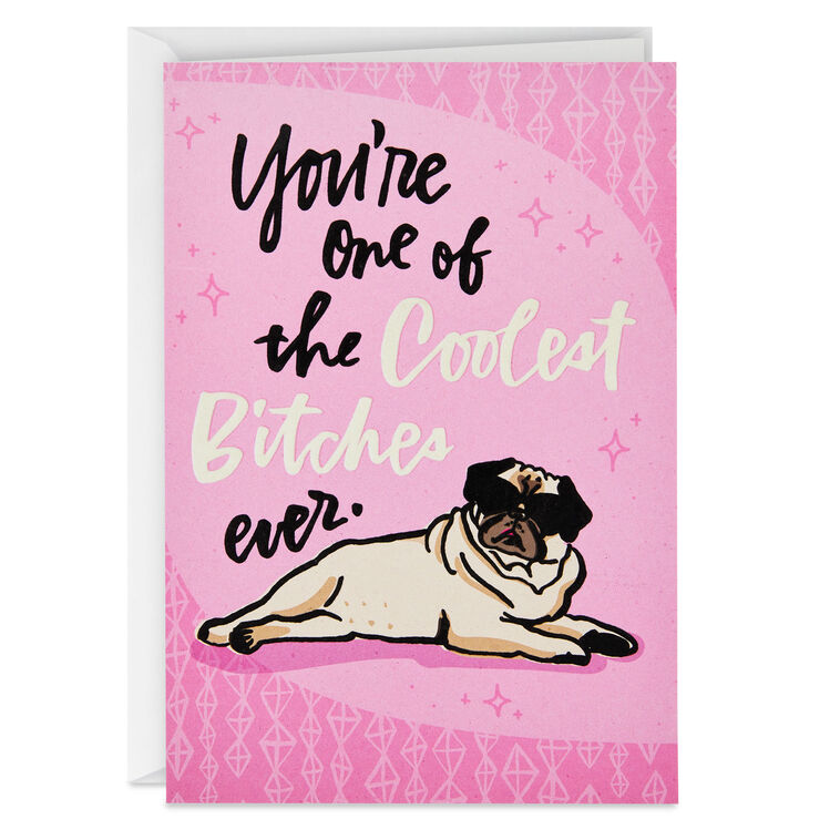 hallmark One of the Coolest Bitches Ever Funny Birthday Card
