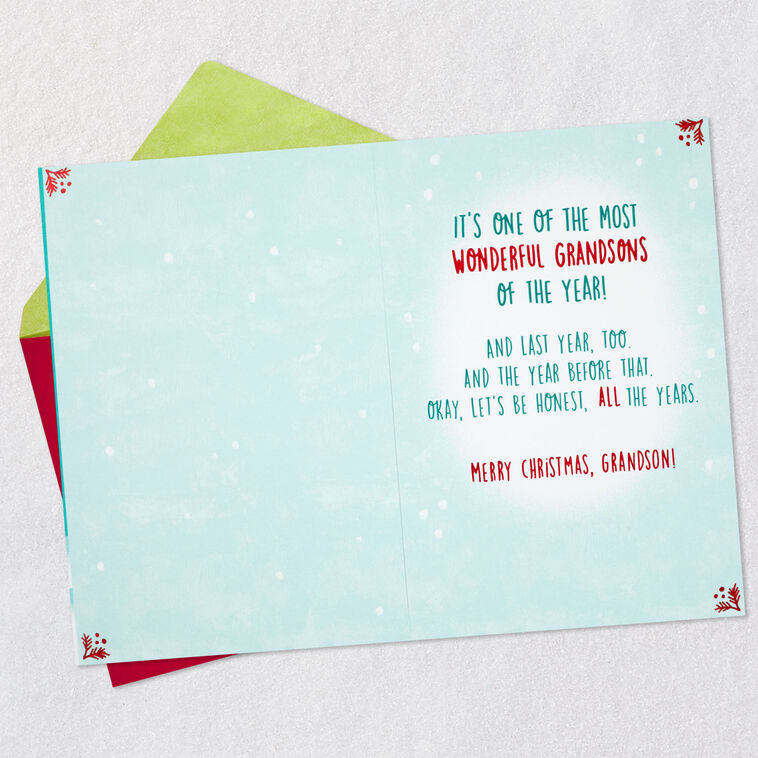 Hallmark One Of The Most Wonderful Grandsons Funny Christmas Card