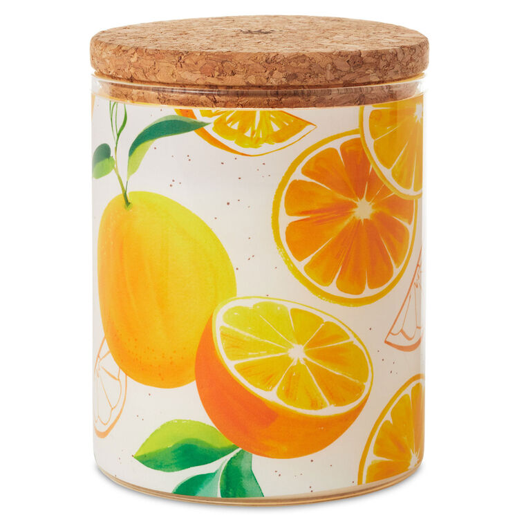 hallmark Orange and Vanilla Bean Scented 2-Wick Jar Candle 14.5 oz