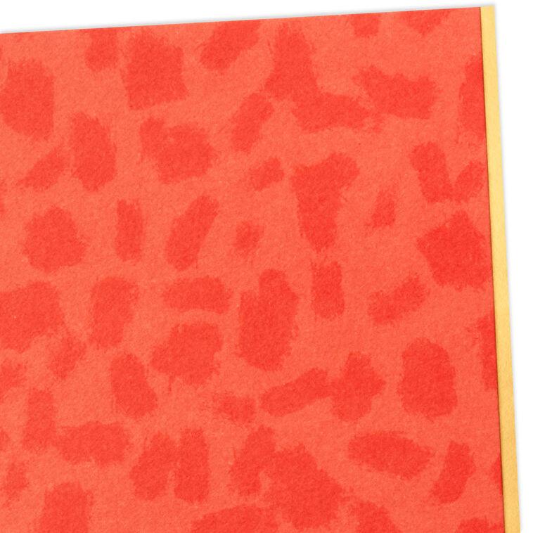 Hallmark Orange Animal Print Blank Notes Mini Pack Set Of 5