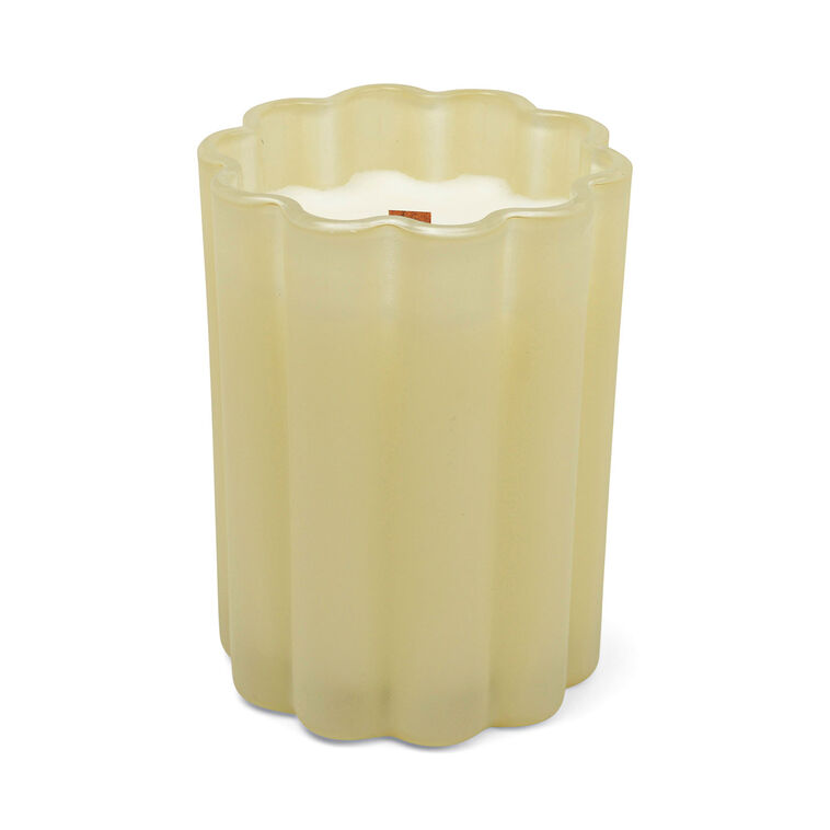 hallmark Paddywax Foundry Rose and Wood Frosted Glass Candle 7.5 oz
