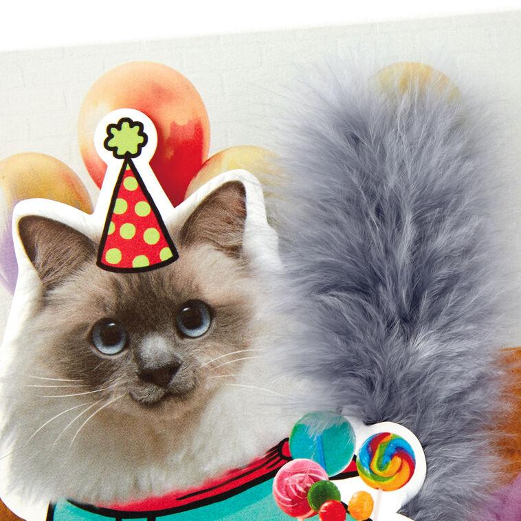 Hallmark Party Cat Funny Musical Birthday Card With Motion