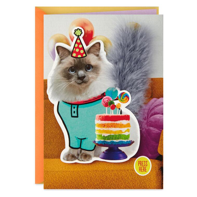 hallmark Party Cat Funny Musical Birthday Card With Motion