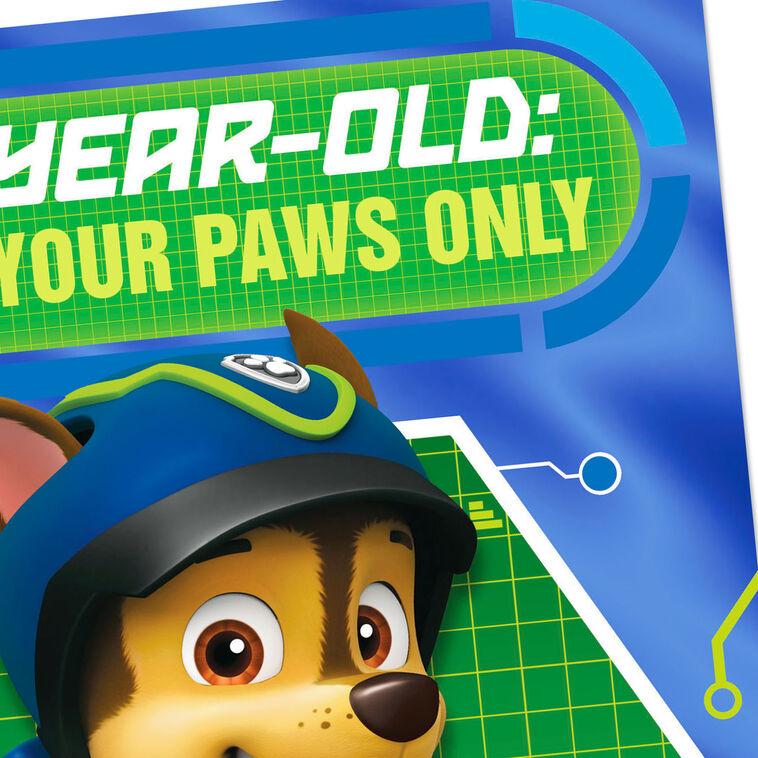 Hallmark Paw Patrol™ Chase And Friends 4th Birthday Card
