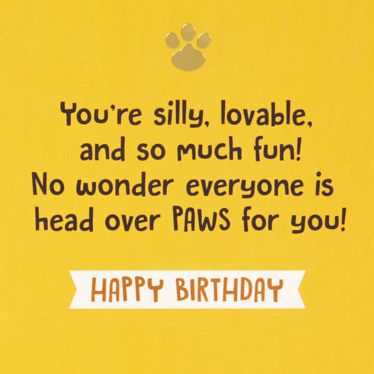 Hallmark Paw Patrol™ Forever Fun Birthday Card For Kids