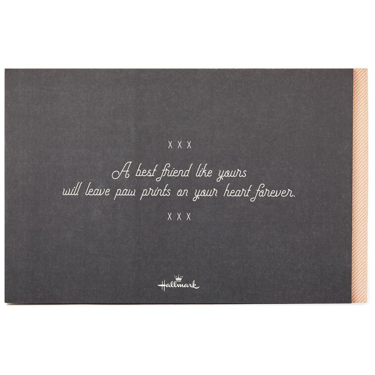 Hallmark Paw Prints On Your Heart: Saying Good-bye To Your Best Friend