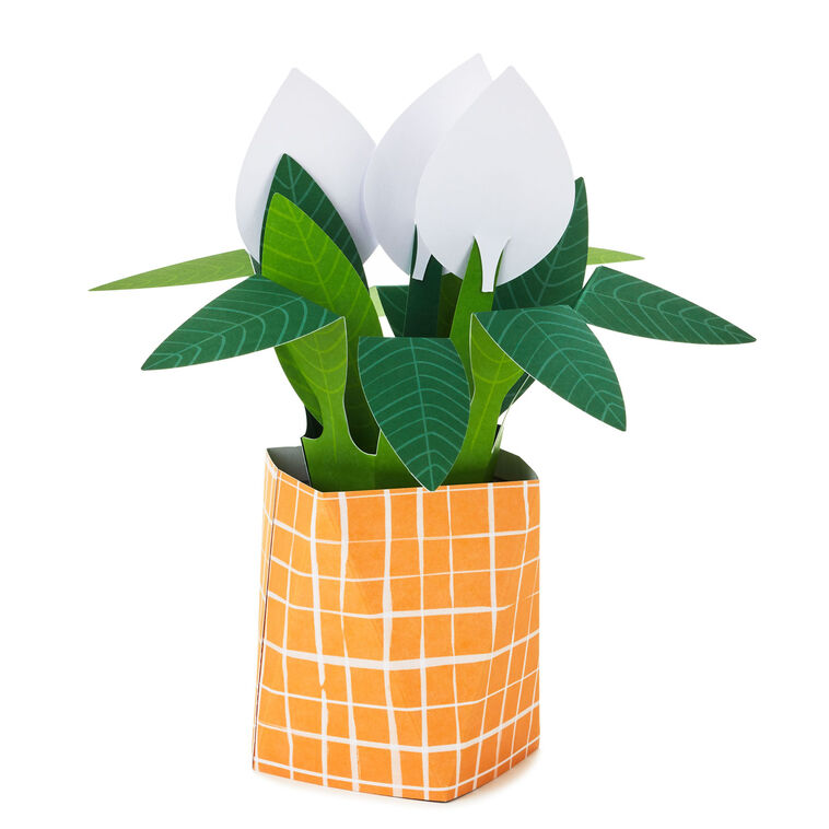 Hallmark Peace Lily Love You 3D Pop-Up Thinking Of You Card