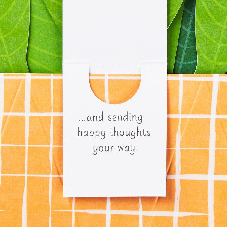Hallmark Peace Lily Love You 3D Pop-Up Thinking Of You Card