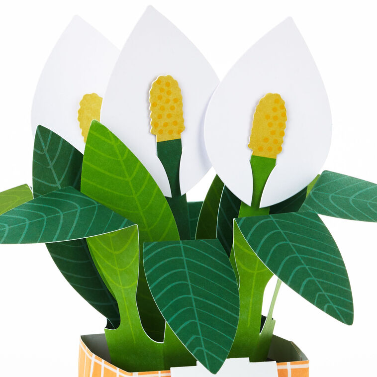 Hallmark Peace Lily Love You 3D Pop-Up Thinking Of You Card
