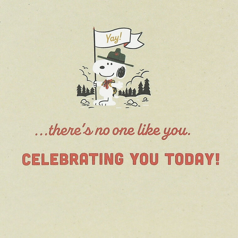 Hallmark Peanuts® Beagle Scouts Compass No One Like You Birthday Card