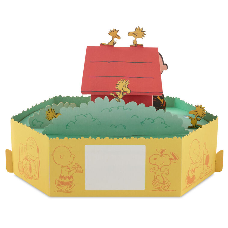 Hallmark Peanuts® Charlie Brown And Snoopy Happiness Is 3D Pop-Up Card