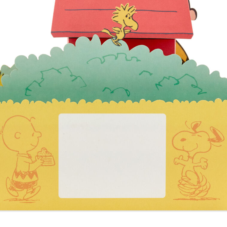Hallmark Peanuts® Charlie Brown And Snoopy Happiness Is 3D Pop-Up Card