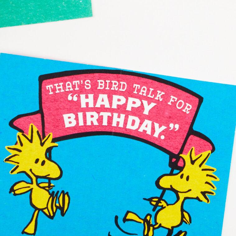 Hallmark Peanuts® Charlie Brown Wonderful You Funny Birthday Card With Mini Cards